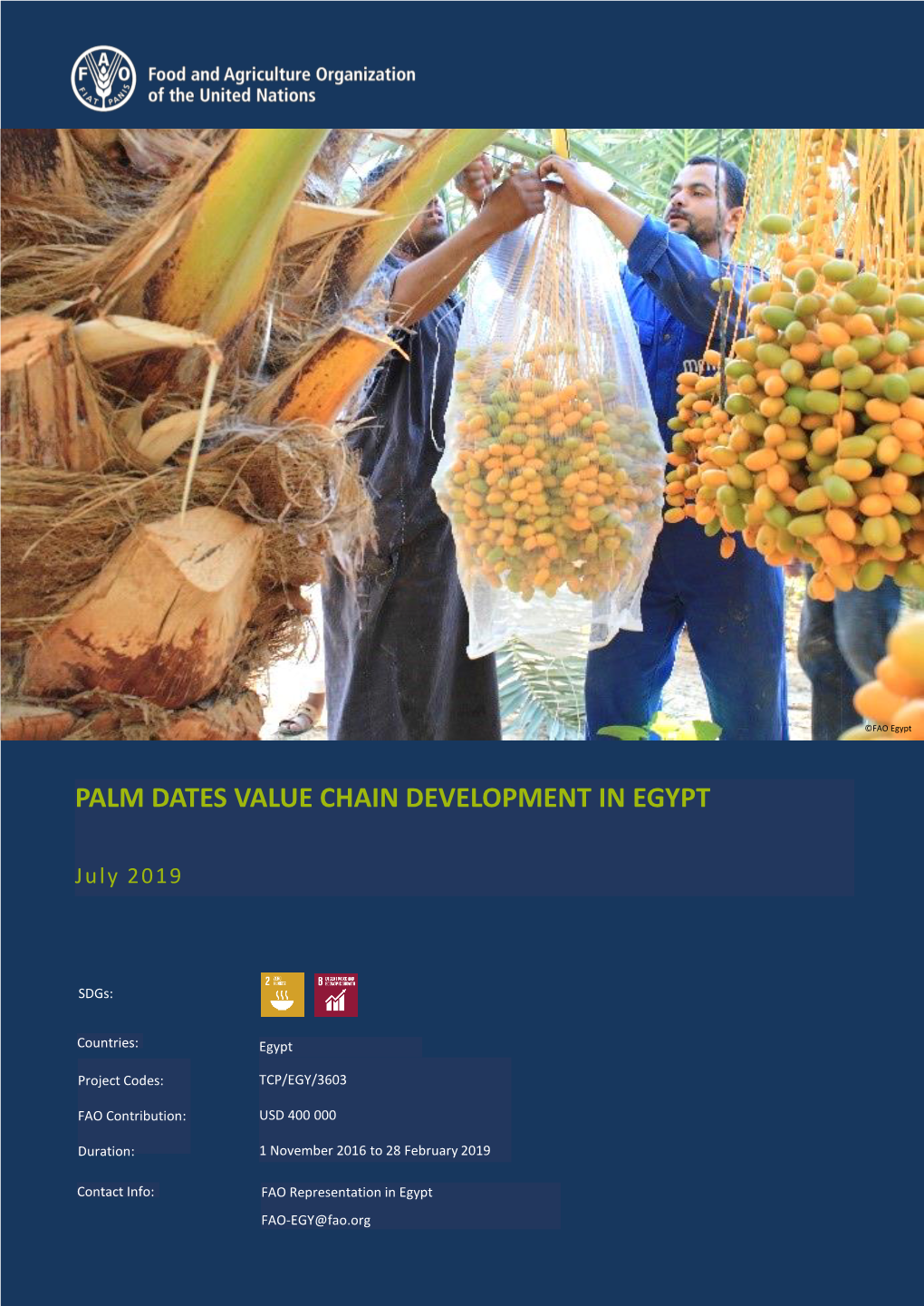 Palm Dates Value Chain Development in Egypt