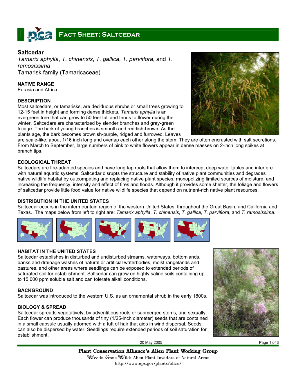 Plant Conservation Alliance®S Alien Plant Working Group Saltcedar