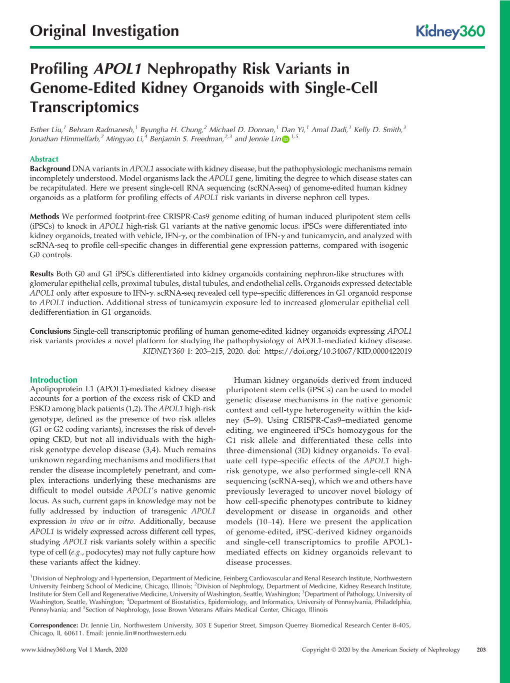 Profiling APOL1 Nephropathy Risk Variants in Genome-Edited Kidney