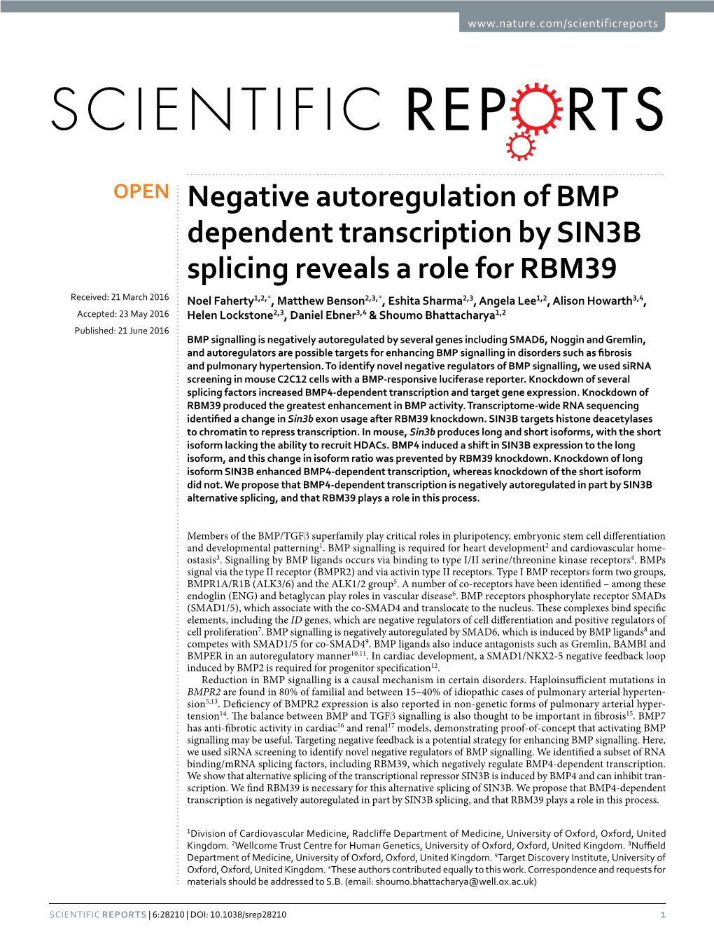 Negative Autoregulation of BMP Dependent Transcription by SIN3B