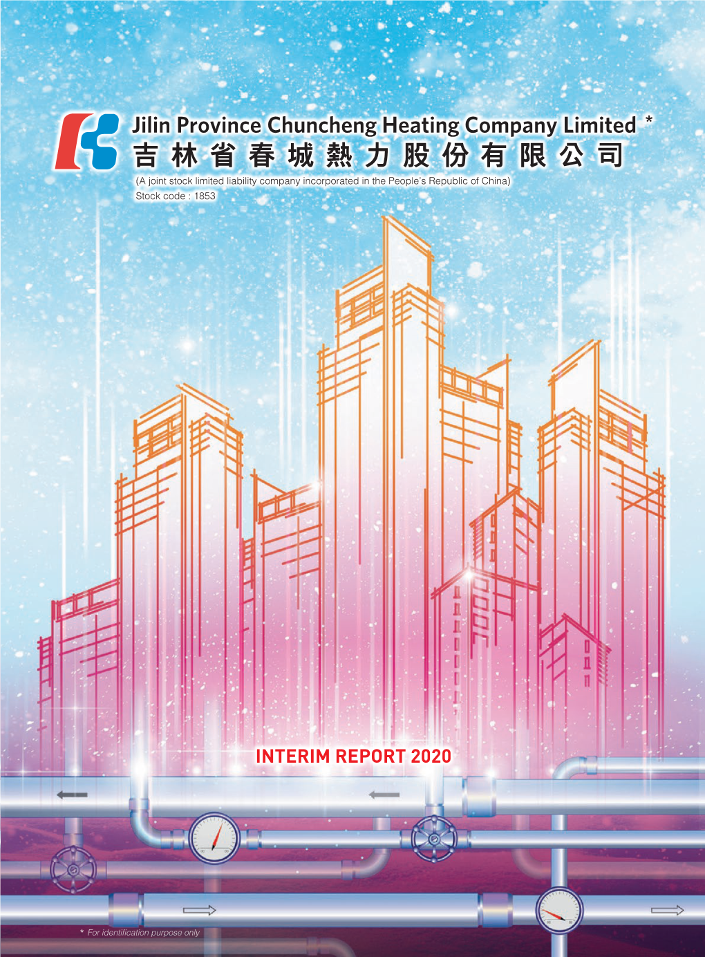 INTERIM REPORT 2020 Contents