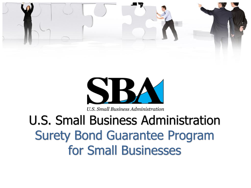 Surety Bond Guarantee Program for Small Businesses