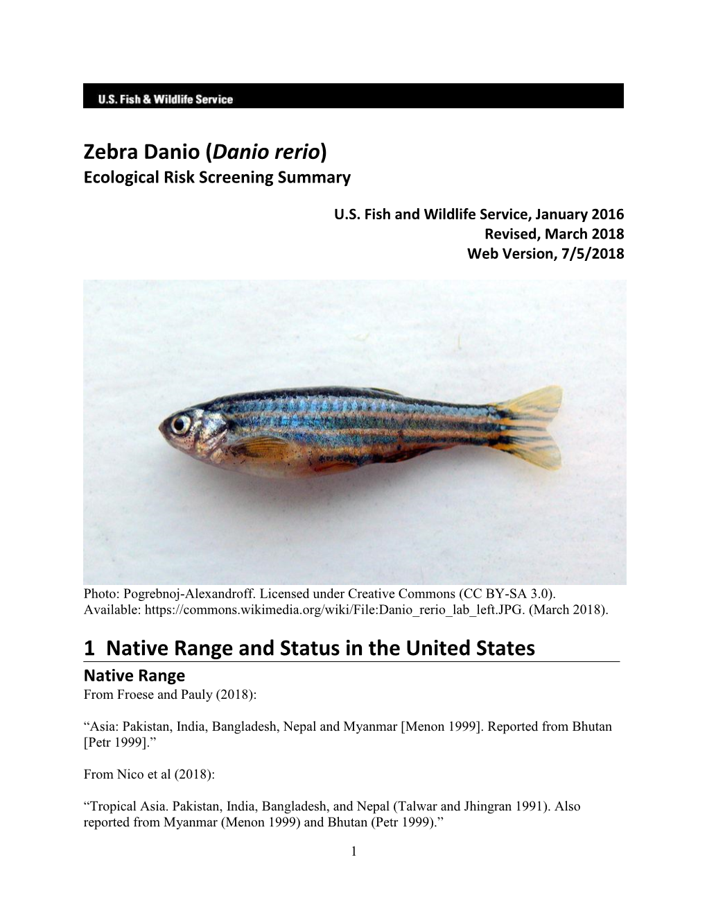 Danio Rerio) Ecological Risk Screening Summary