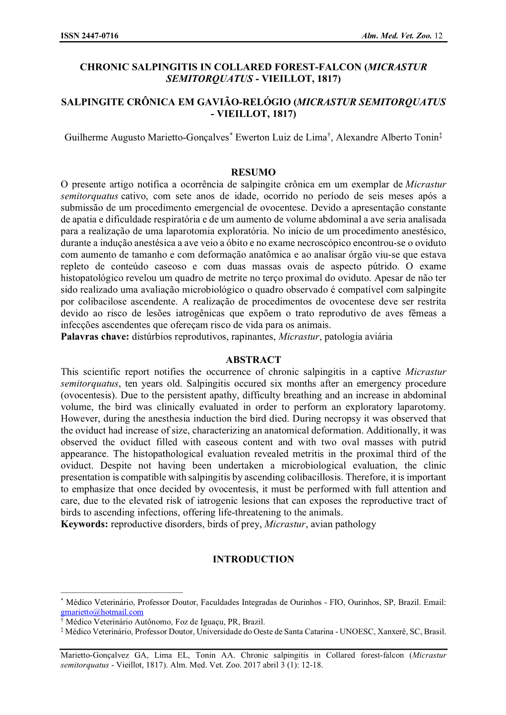 Chronic Salpingitis in Collared Forest-Falcon (Micrastur Semitorquatus - Vieillot, 1817)