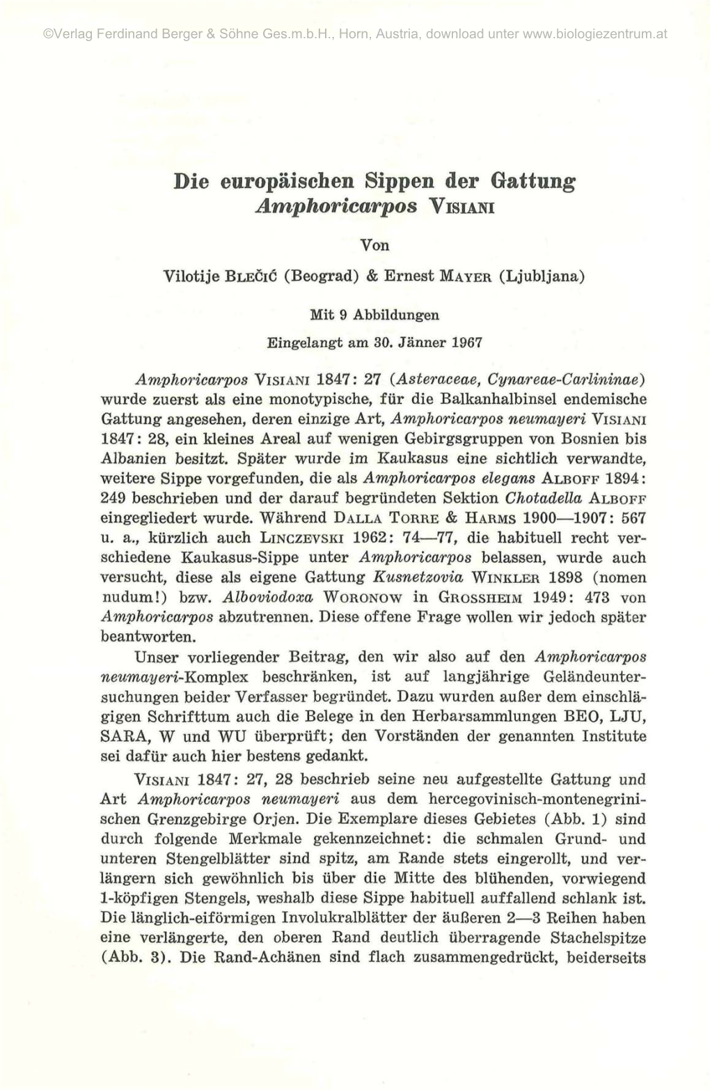 Die Europäischen Sippen Der Gattung Amphoricarpos VISIANI Von Vilotije BLECIC (Beograd) & Ernest MAYER (Ljubljana)