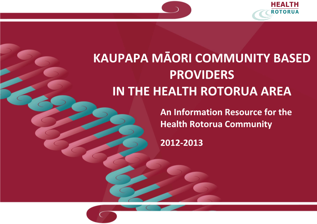 Kaupapa Māori Community Based Providers in the Health Rotorua Area