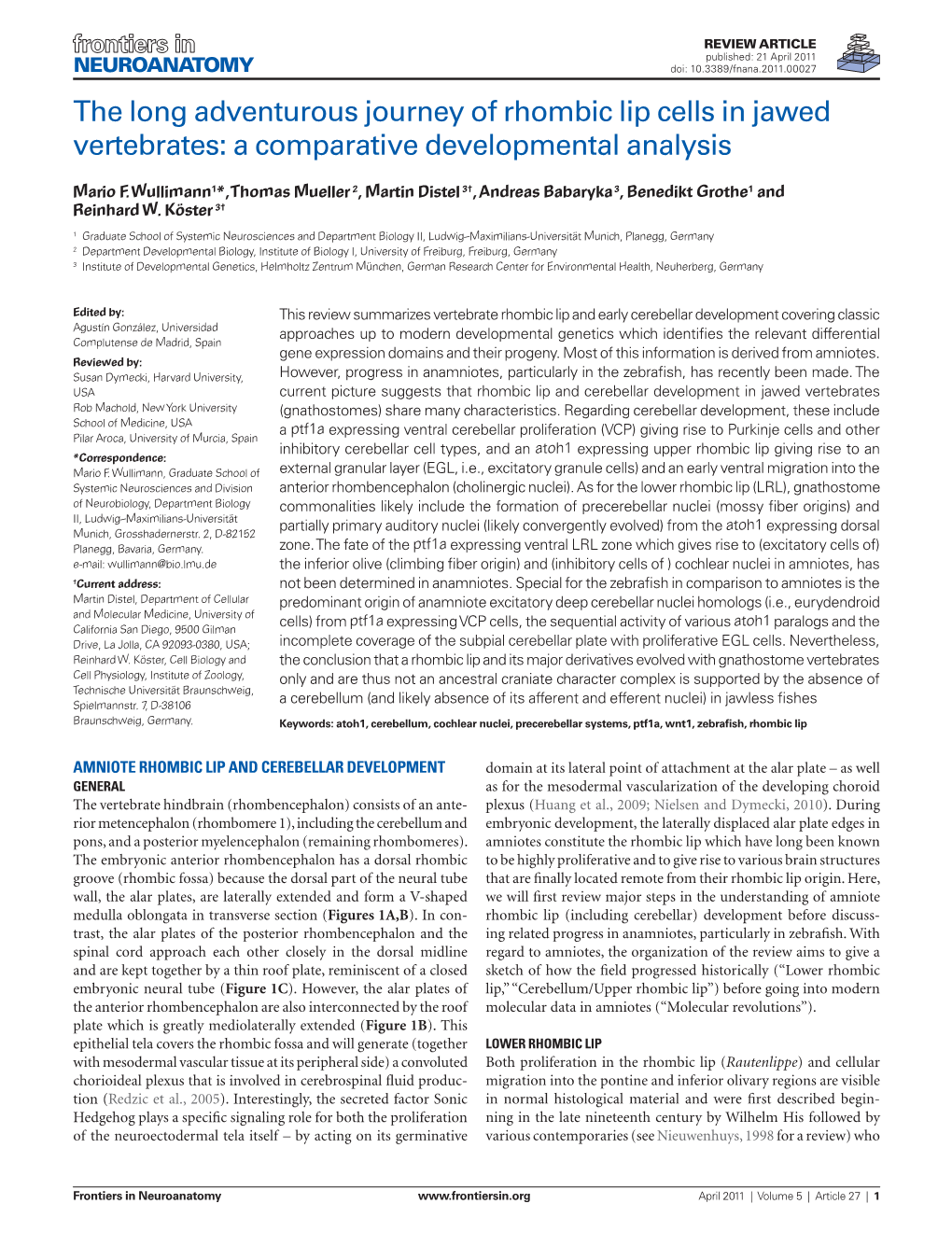 The Long Adventurous Journey of Rhombic Lip Cells in Jawed Vertebrates: a Comparative Developmental Analysis