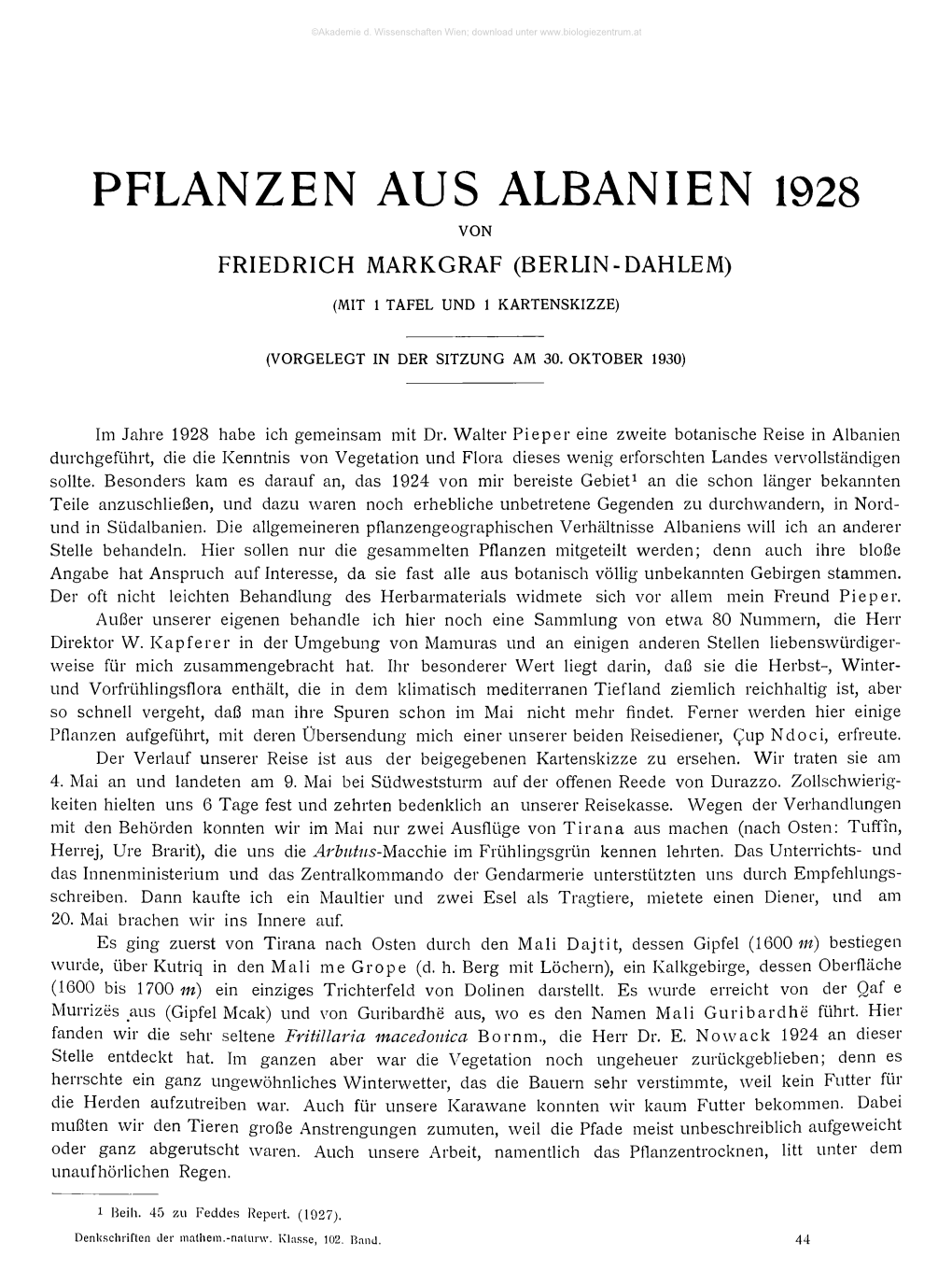 Pflanzen Aus Albanien 1928 Von Friedrich Markgraf (Berlin-Dahlem)