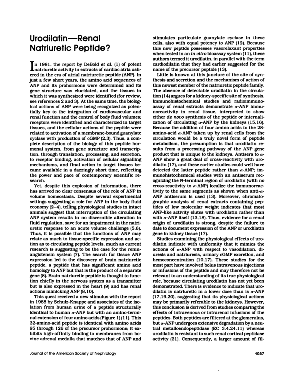 Urodilatin-Renal Natriuretic Peptide?