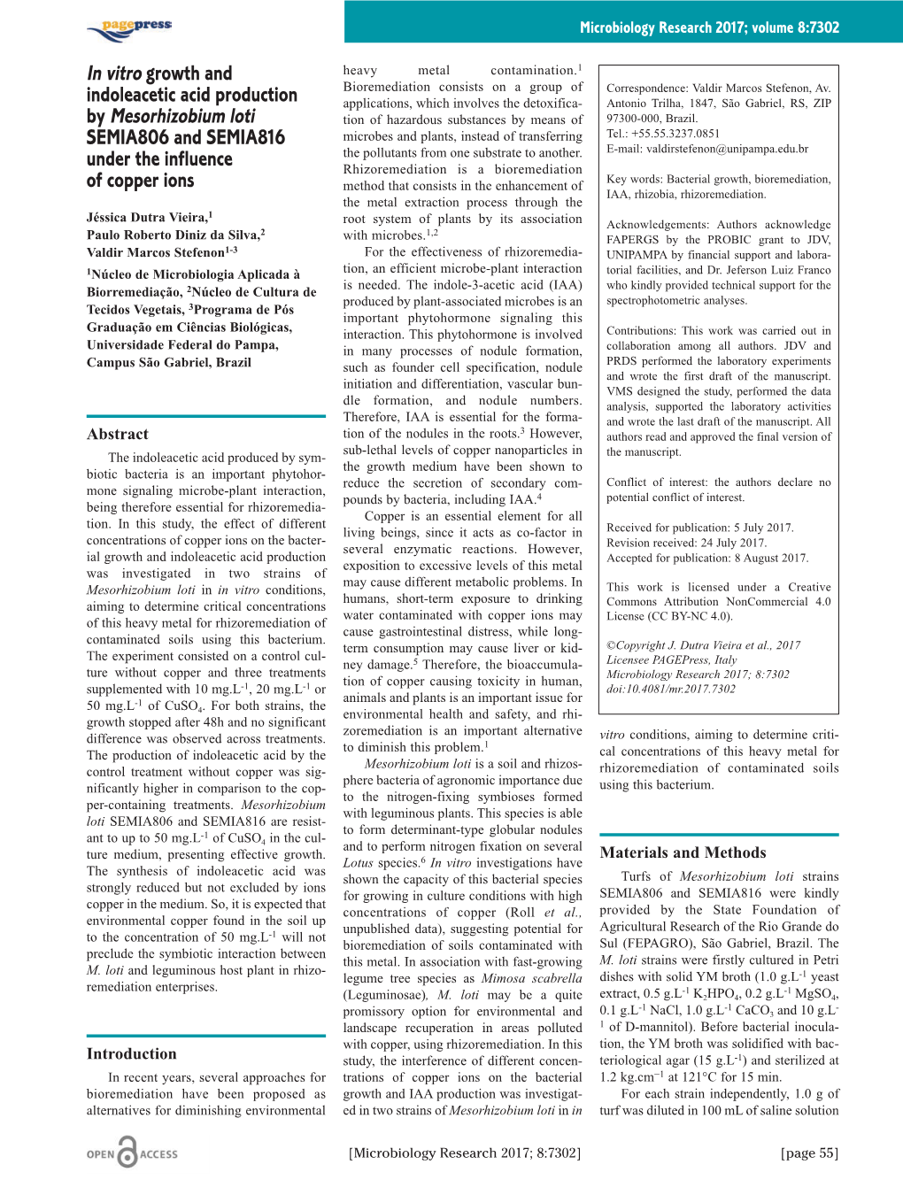 In Vitro Growth and Indoleacetic Acid Production by Mesorhizobium Loti