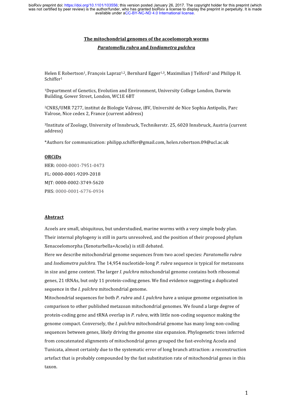 The Mitochondrial Genomes of the Acoelomorph Worms Paratomella Rubra and Isodiametra Pulchra