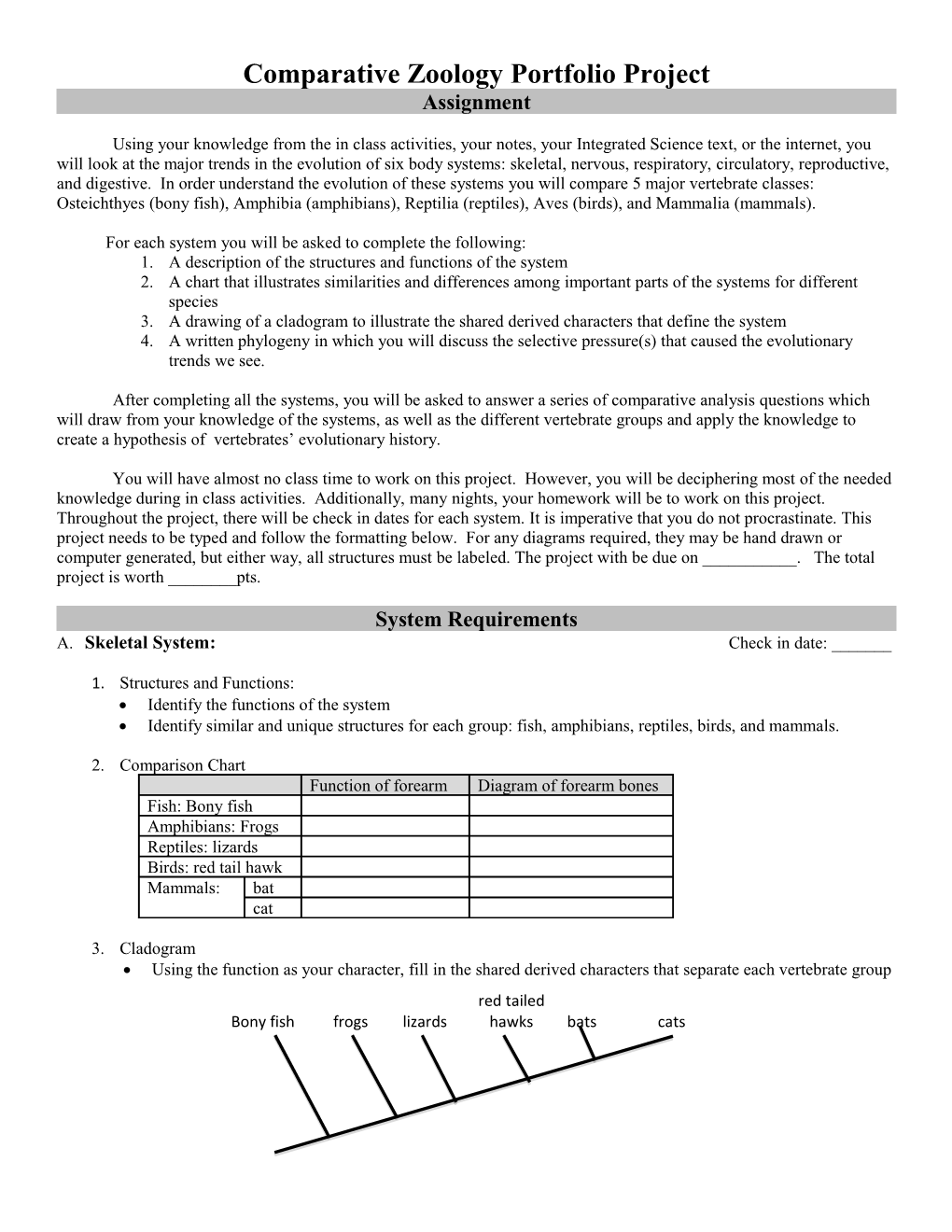 Comparative Zoology Portfolio Project