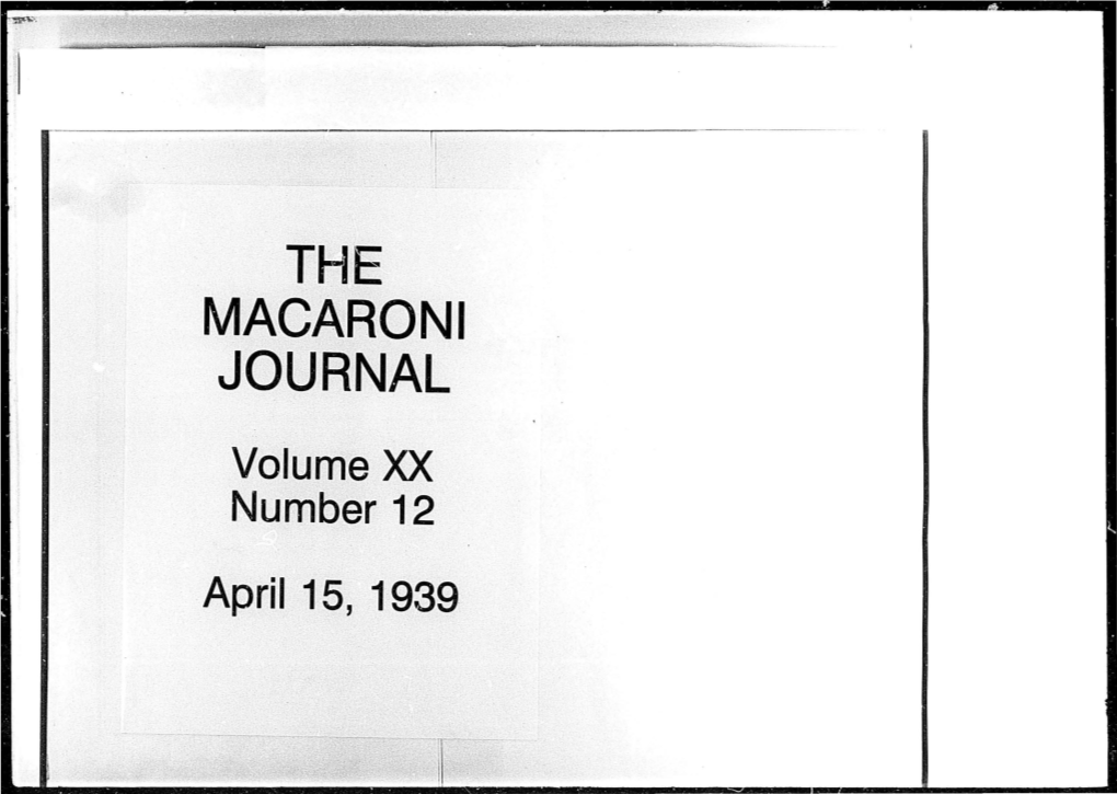 Macaroni Journal