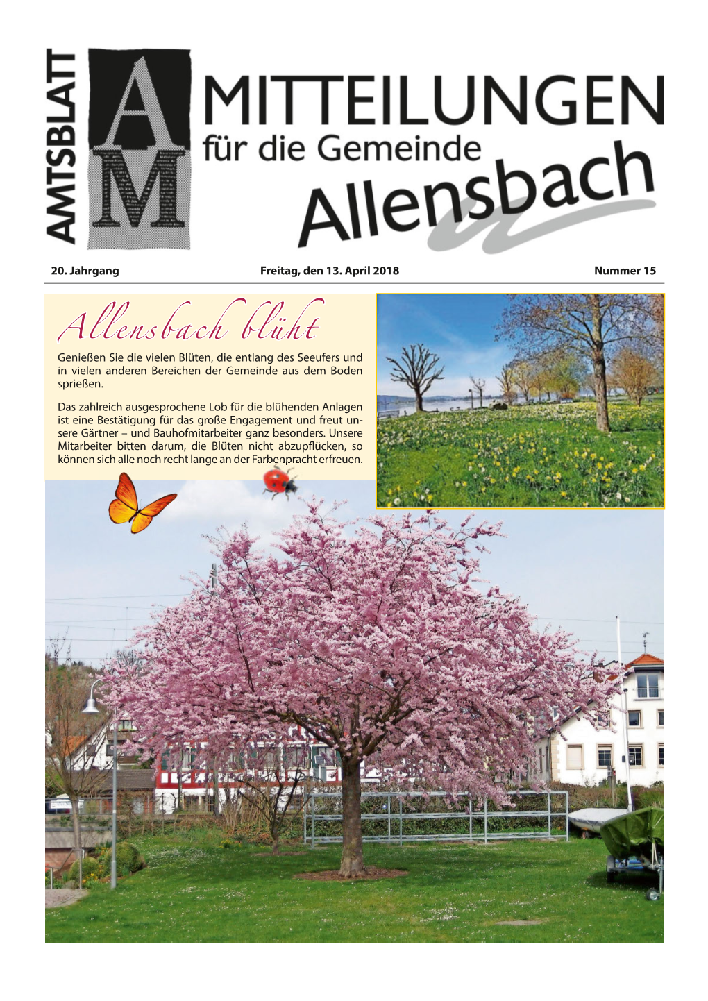 Allensbach Blüht