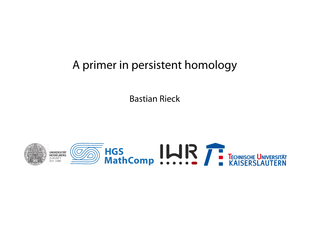 A Primer in Persistent Homology