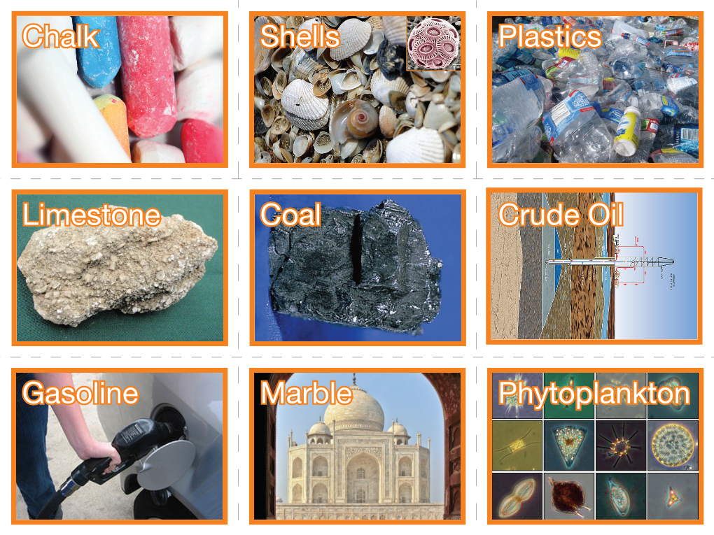 Chalk Plastics Limestone Coal Crude Oil Gasoline Marble Phytoplankton