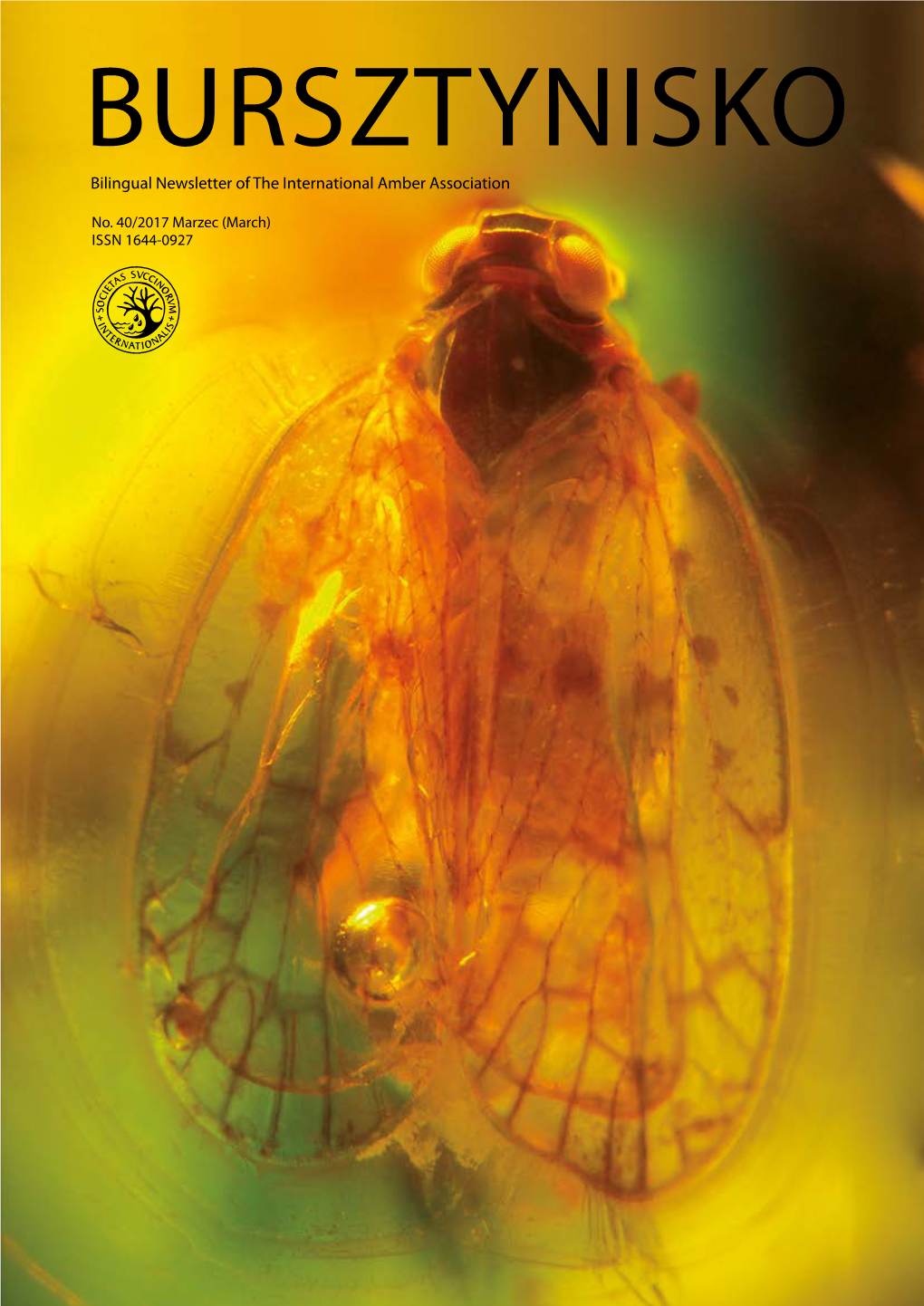 Ceny Bursztynu Bałtyckiego If Not Amber, Then What? Fakes at the IAA Amber Laboratory in 2016 13 Amber Prices Mody(Fikacje) Bursztynu Nowelizacja Prawa Geologicznego