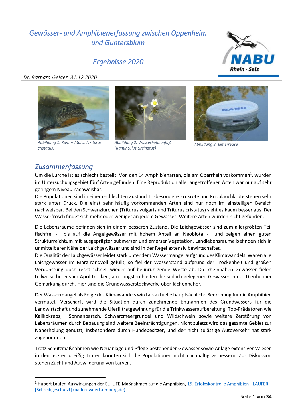 Gewässer- Und Amphibienerfassung Zwischen Oppenheim Und Guntersblum