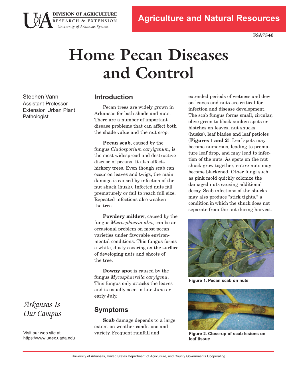 Home Pecan Diseases and Control
