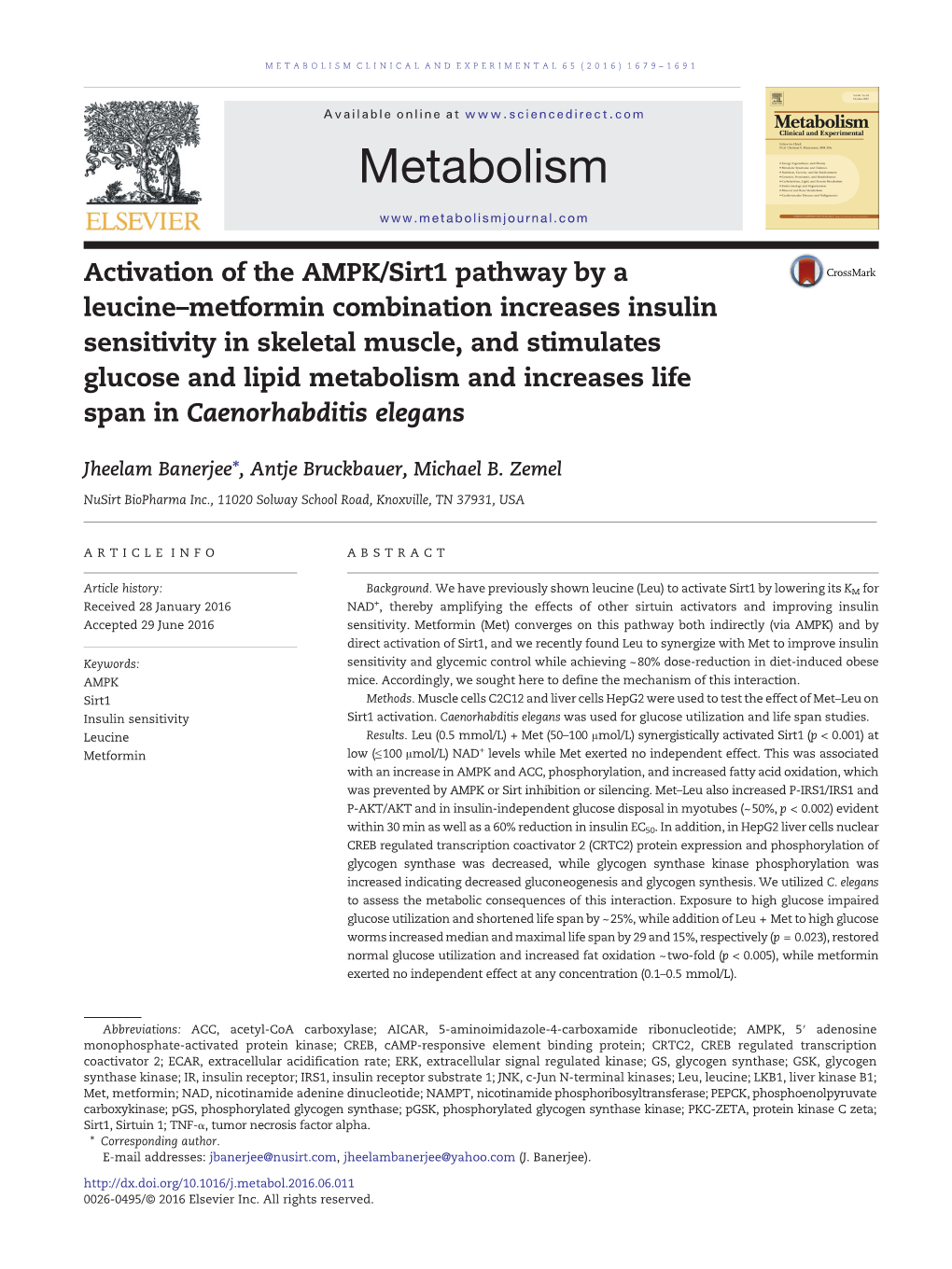 Activation of the AMPK/Sirt1 Pathway by a Leucine