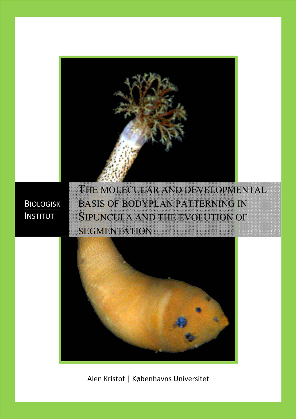 The Molecular and Developmental Biologisk Basis of Bodyplan Patterning in Institut Sipuncula and the Evolution Of