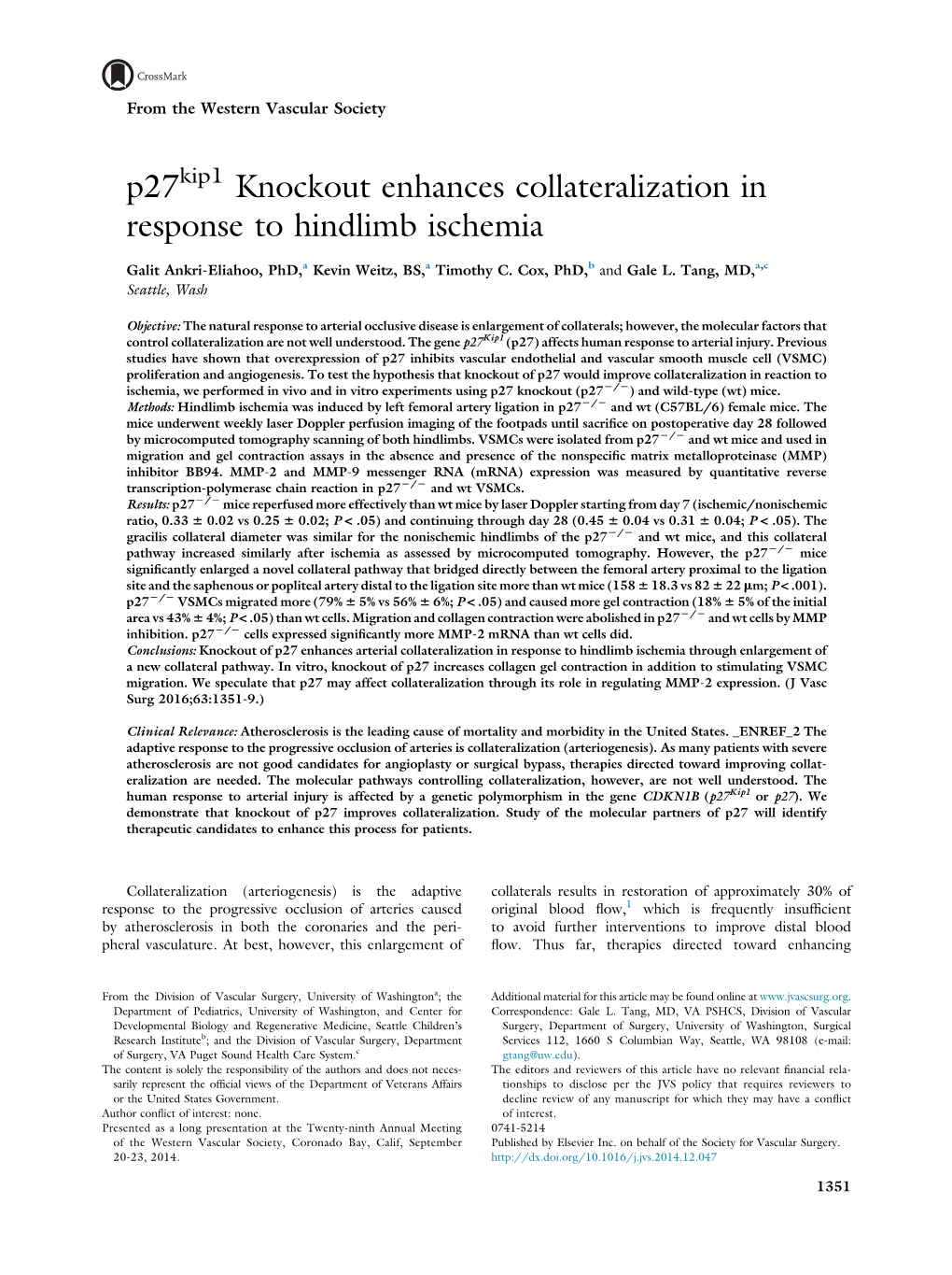 P27kip1 Knockout Enhances Collateralization in Response to Hindlimb Ischemia