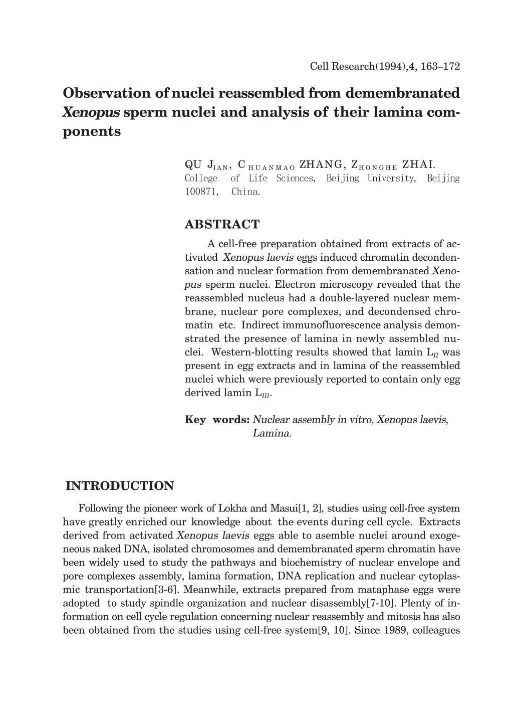 Observation of Nuclei Reassembled from Demembranated Xenopus Sperm Nuclei and Analysis of Their Lamina Com- Ponents