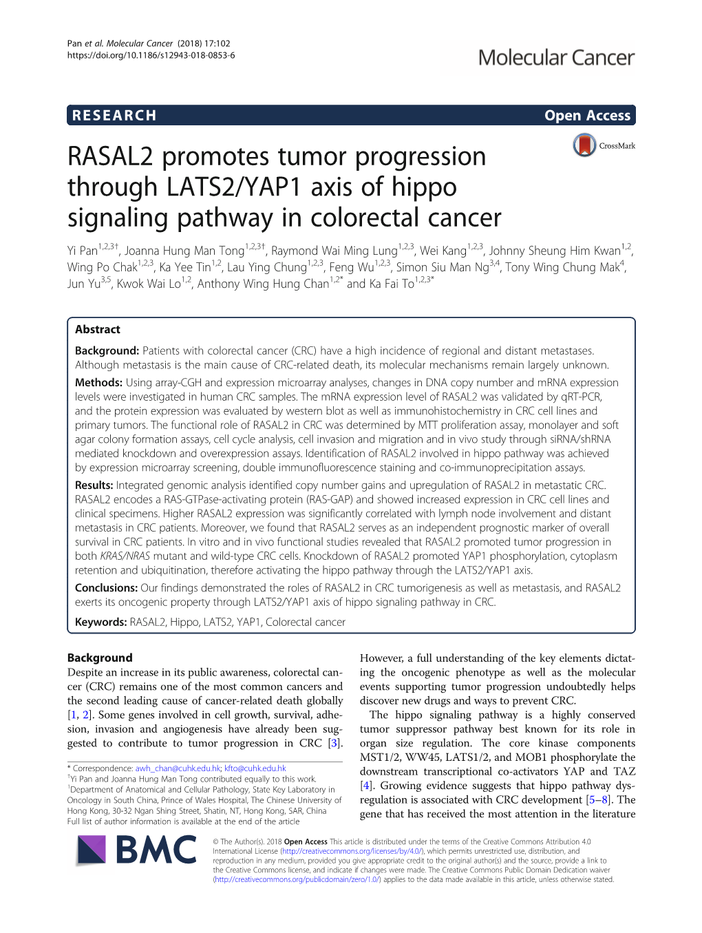 RASAL2 Promotes Tumor Progression Through LATS2/YAP1 Axis of Hippo