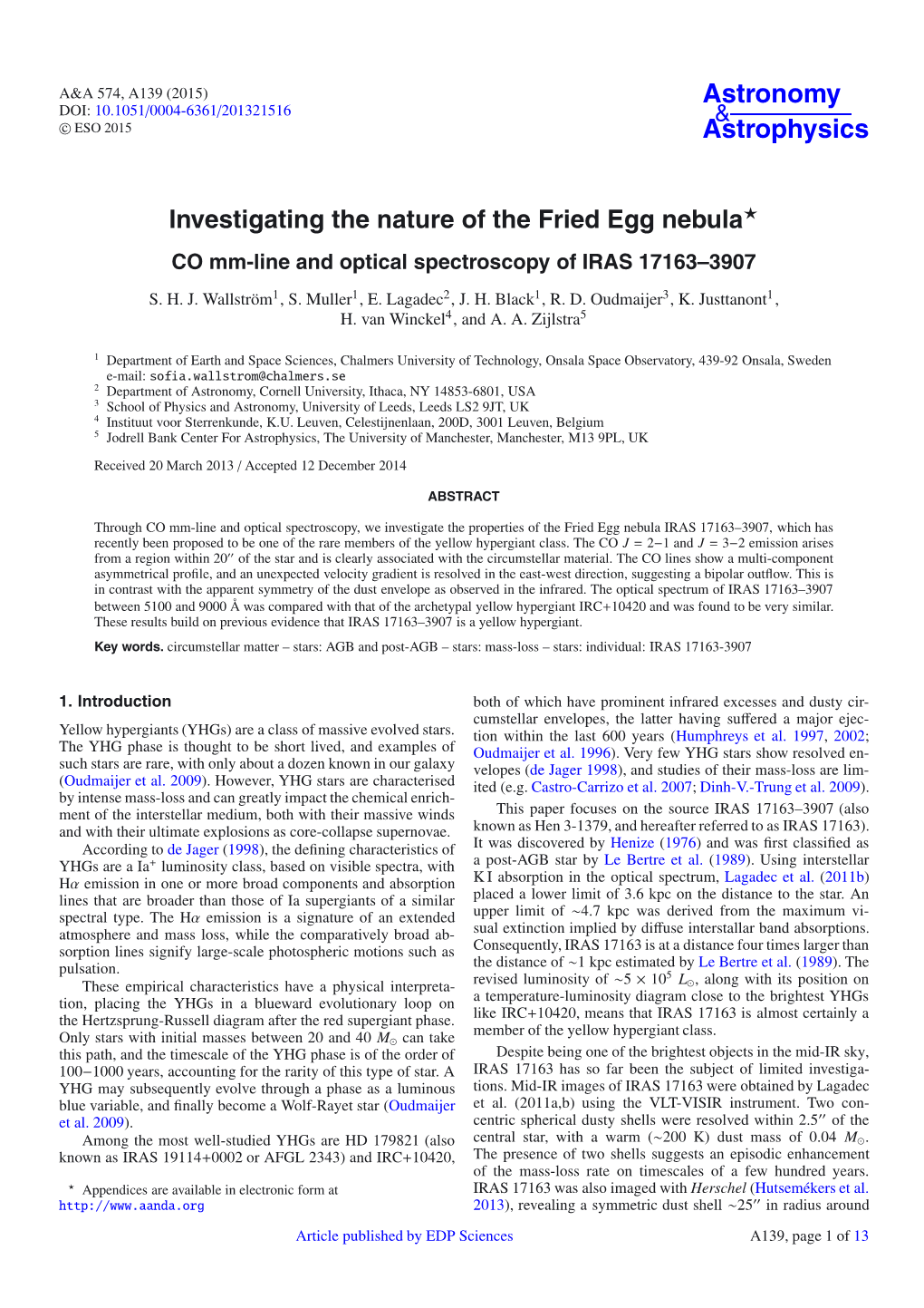 Investigating the Nature of the Fried Egg Nebula⋆