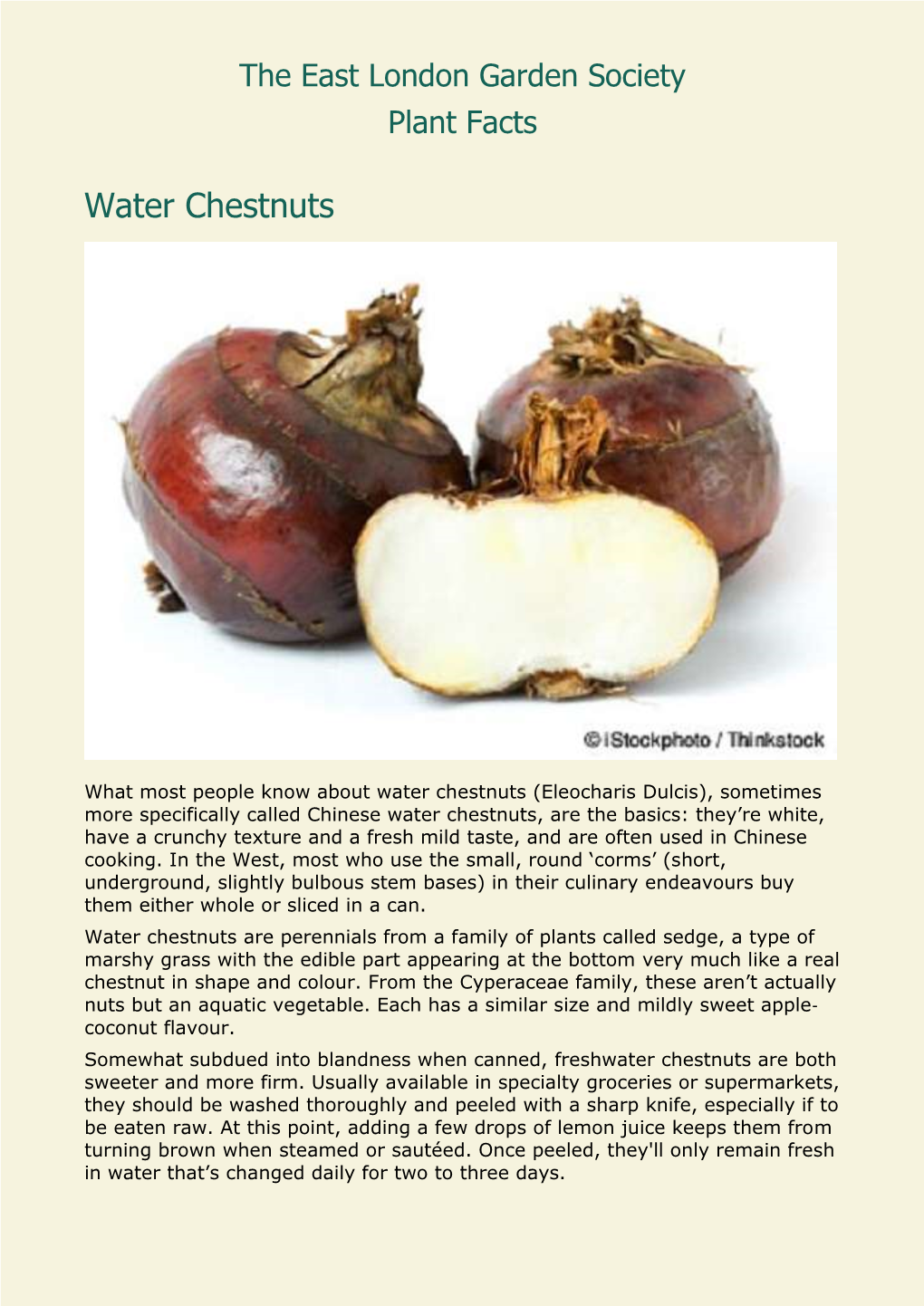 Water Chestnuts