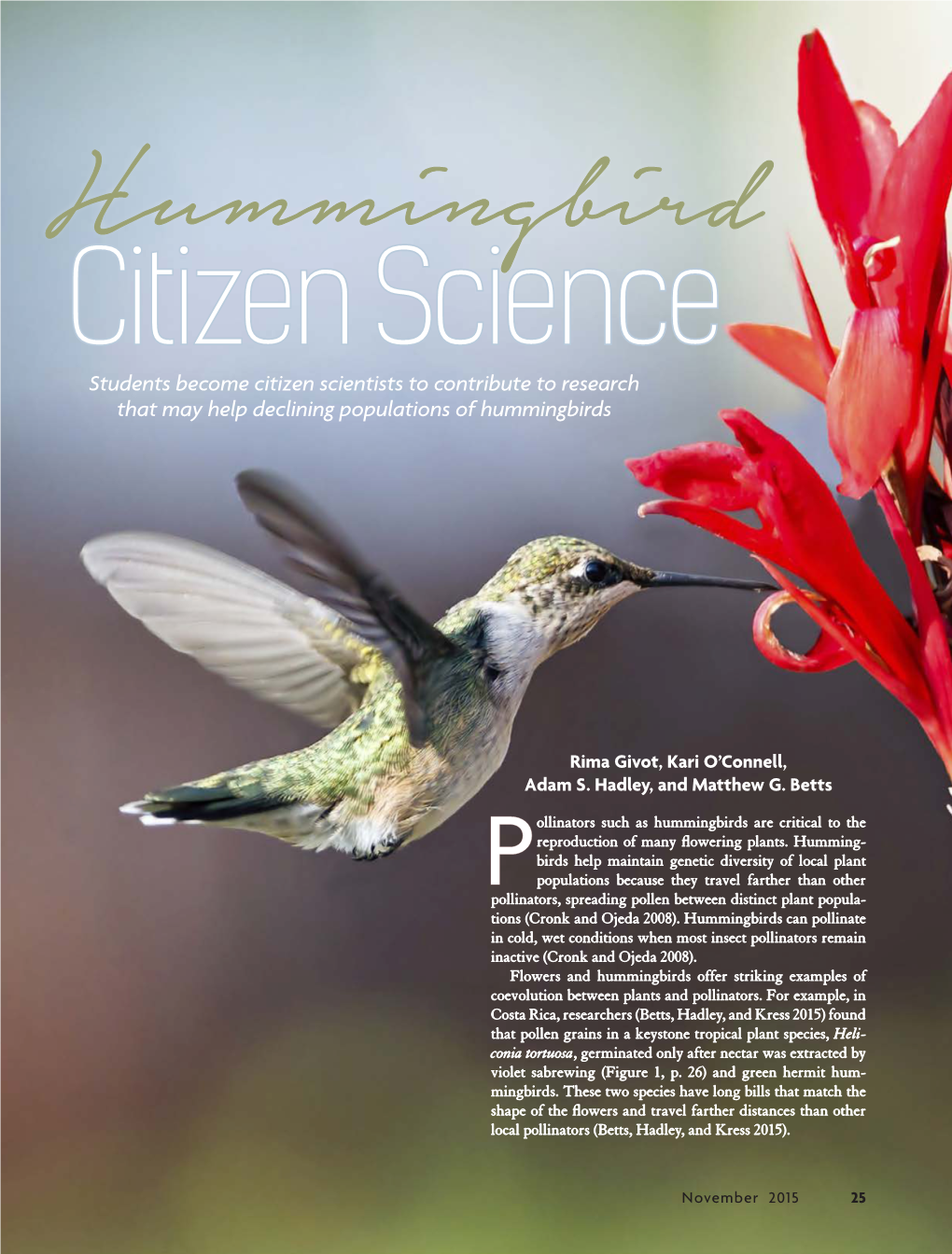 Hummingbird Citizen Science
