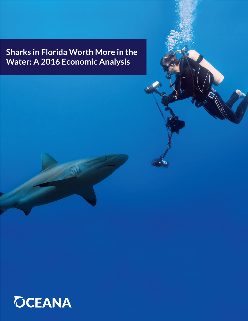 Sharks in Florida Worth More in the Water: a 2016 Economic Analysis