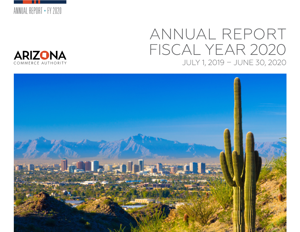 FY 20 ACA Annual Report