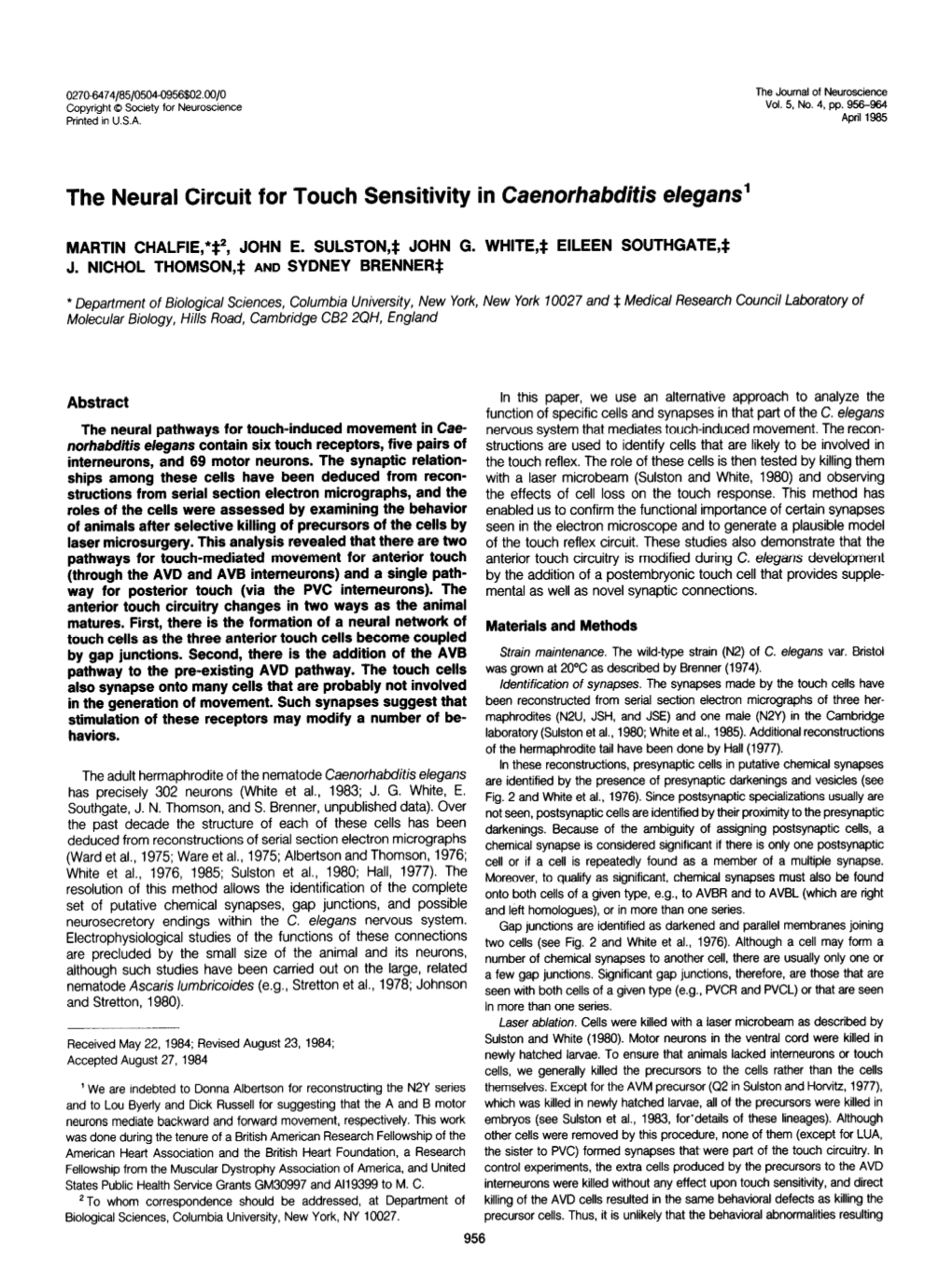 The Neural Circuit for Touch Sensitivity in Caenorhabditis Elegans'