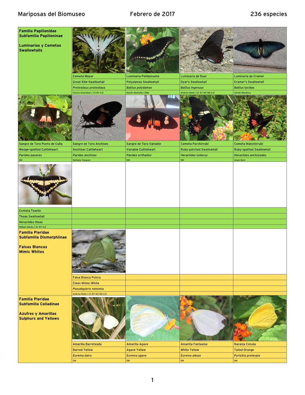 Mariposas Del Biomuseo.Numbers