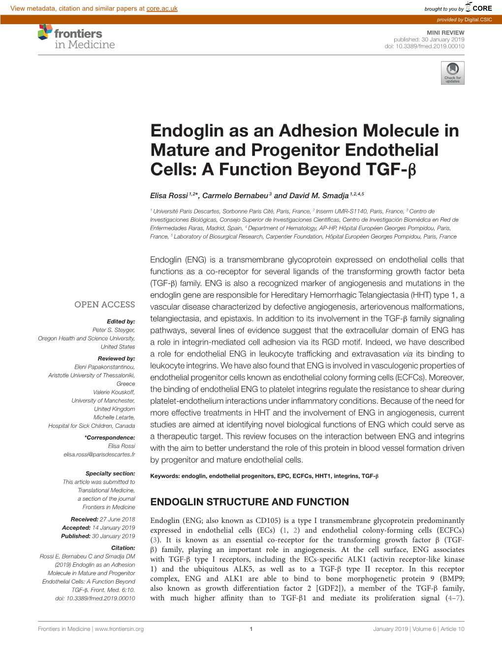 Endoglin As an Adhesion Molecule in Mature and Progenitor Endothelial Cells: a Function Beyond TGF-Β