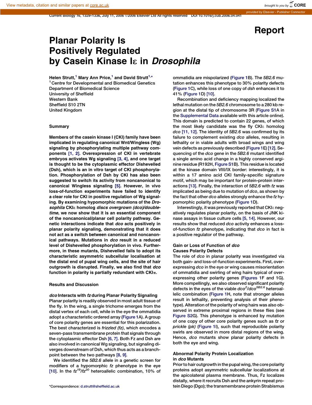 Report Planar Polarity Is Positively Regulated by Casein Kinase I3 in Drosophila