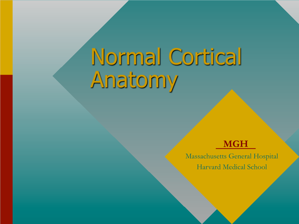 Normal Cortical Anatomy