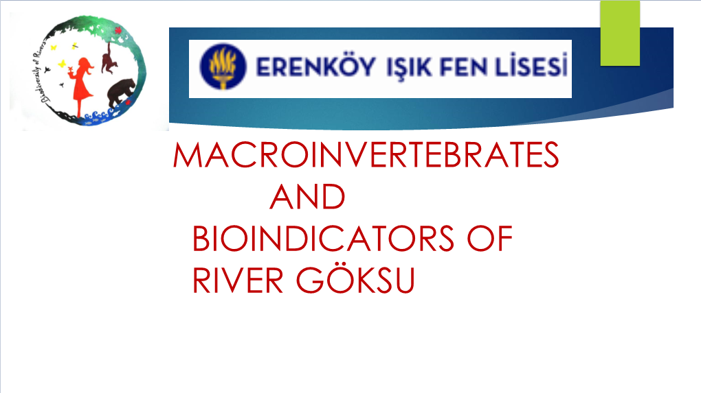 MACROINVERTEBRATES and BIOINDICATORS of RIVER GÖKSU Diptera General Information