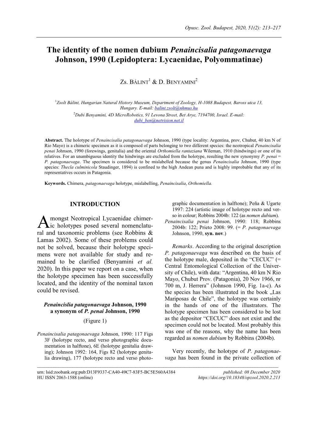 The Identity of the Nomen Dubium Penaincisalia Patagonaevaga Johnson, 1990 (Lepidoptera: Lycaenidae, Polyommatinae)