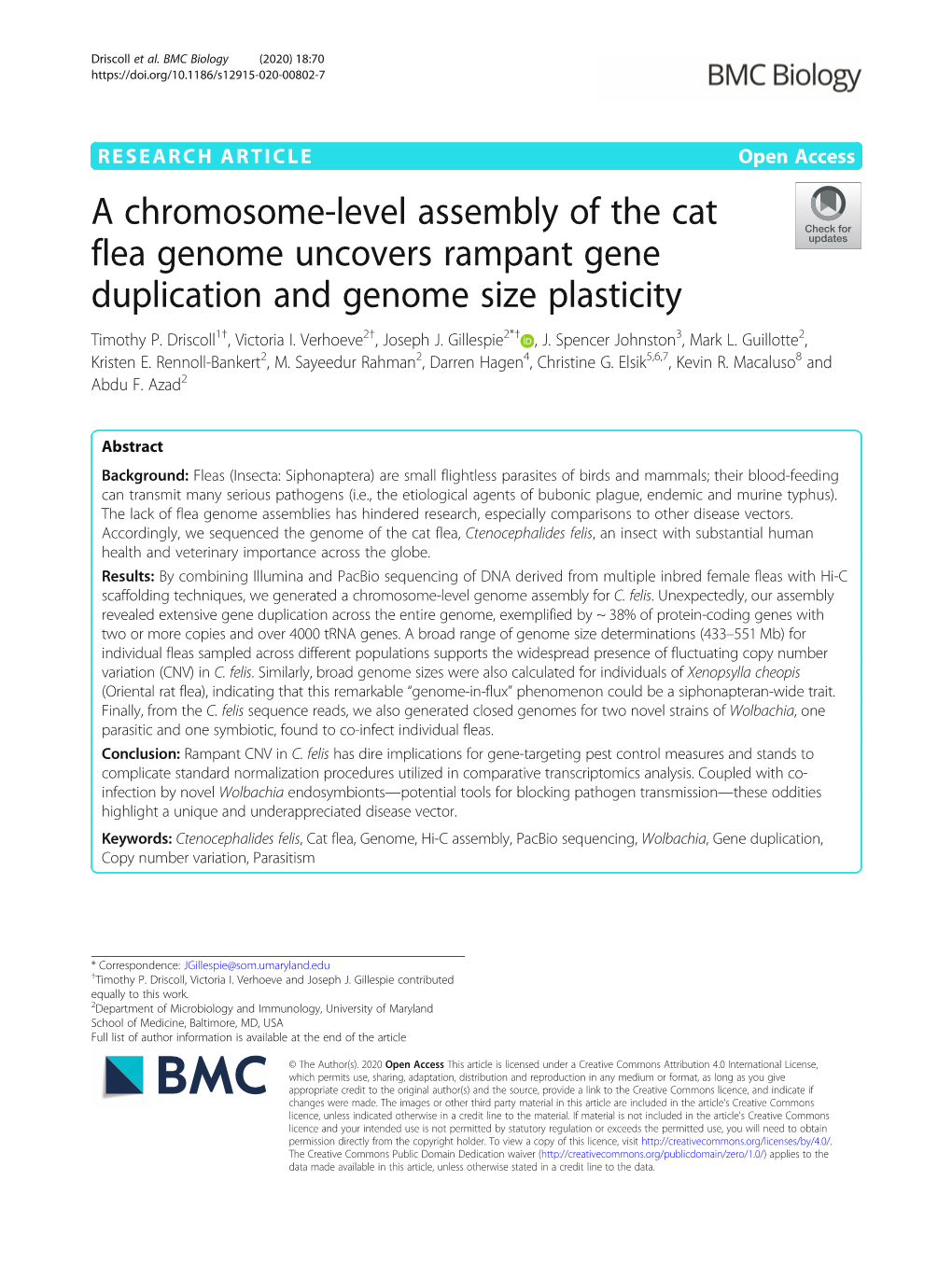 A Chromosome-Level Assembly of the Cat Flea Genome Uncovers Rampant Gene Duplication and Genome Size Plasticity Timothy P