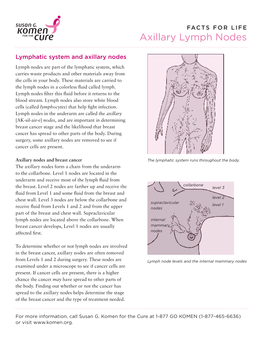 Axillary Lymph Nodes