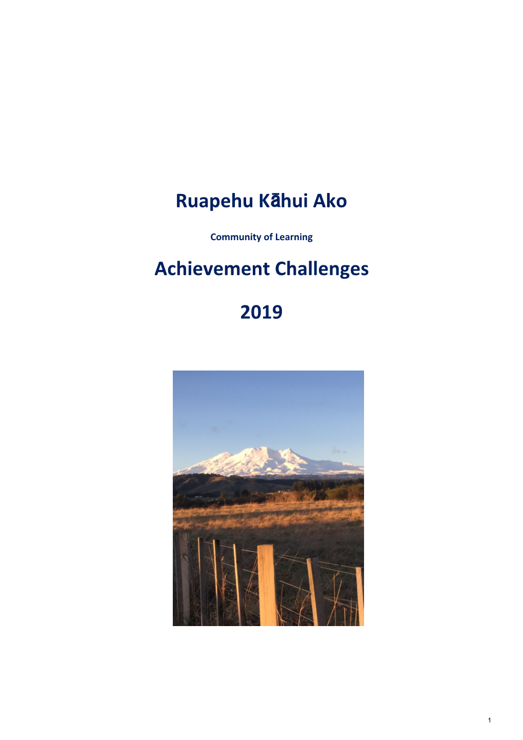 Ruapehu Kāhui Ako Achievement Challenges 2019