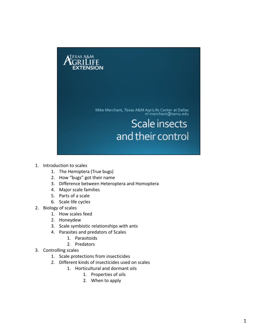 1. Introduction to Scales 1. the Hemiptera (True Bugs) 2. How “Bugs” Got Their Name 3