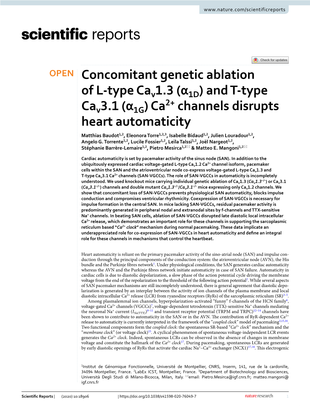 And T-Type Cav3.1 (Α1g) Ca2+ Channels Disrupts Heart Automaticity