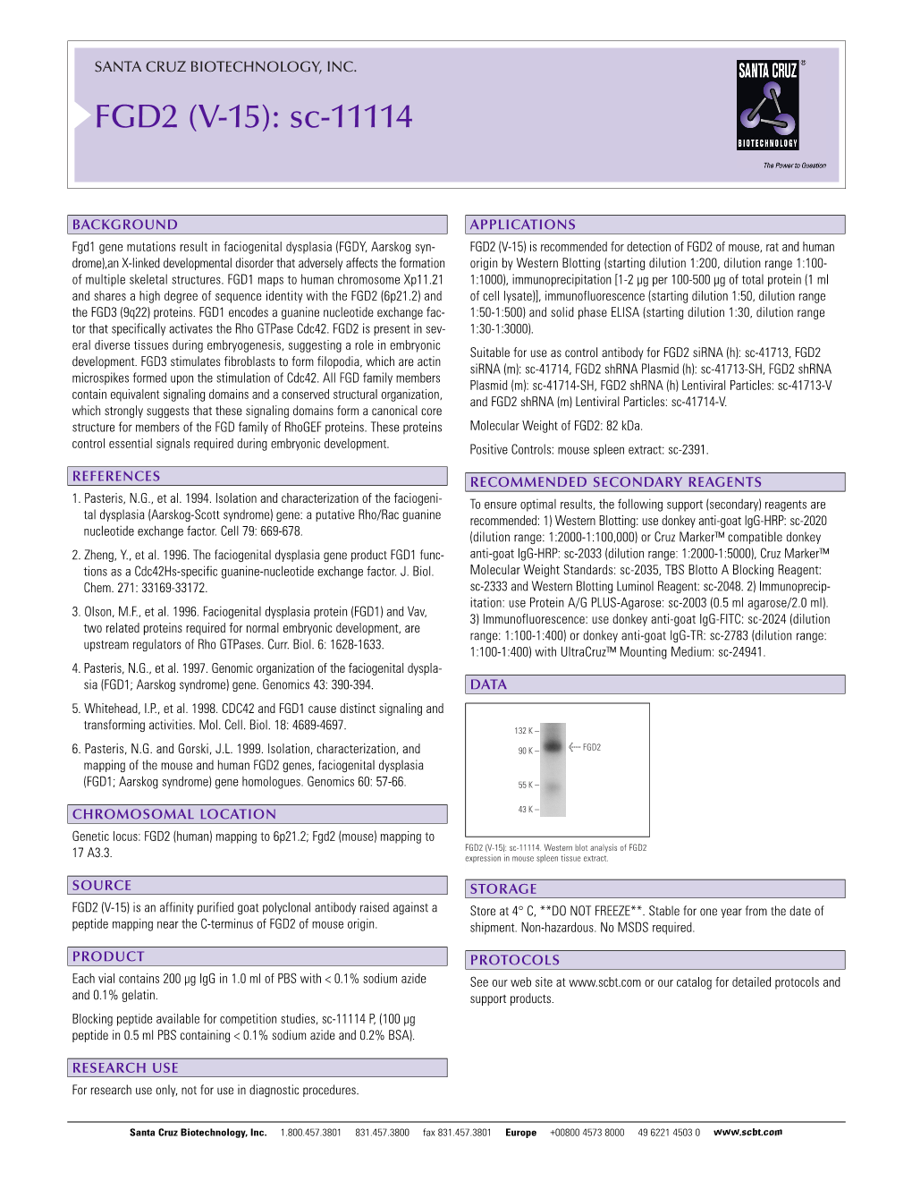 FGD2 (V-15): Sc-11114