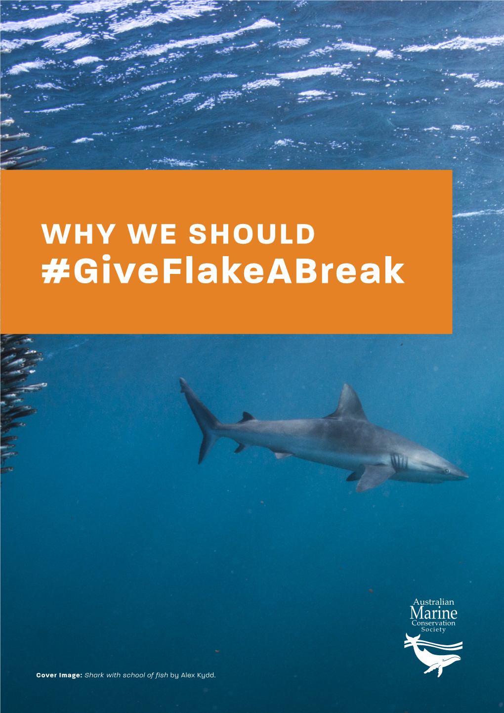 Giveflakeabreak