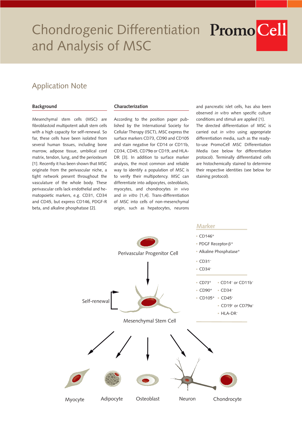 Chondrogenic Differentiation and Analysis of MSC