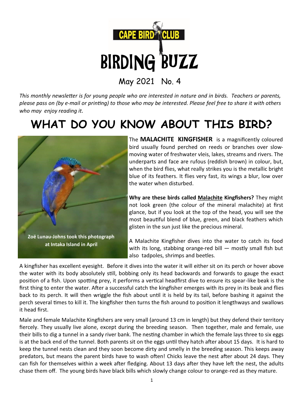 BIRDING BUZZ May 2021 No