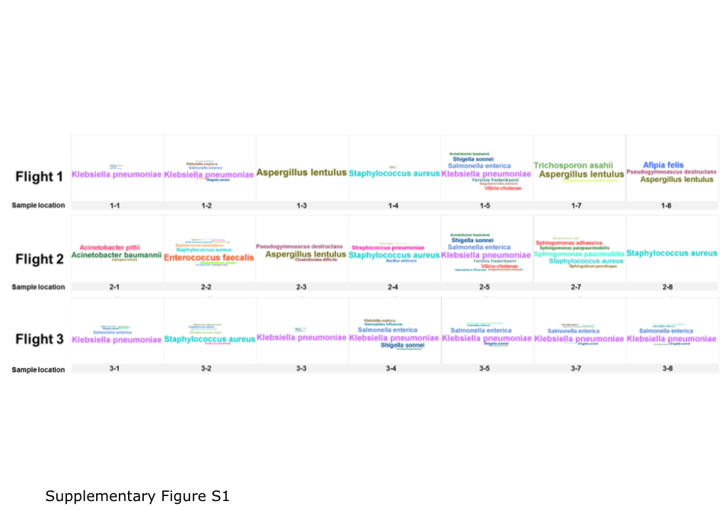 Supplementary Figure S1 +